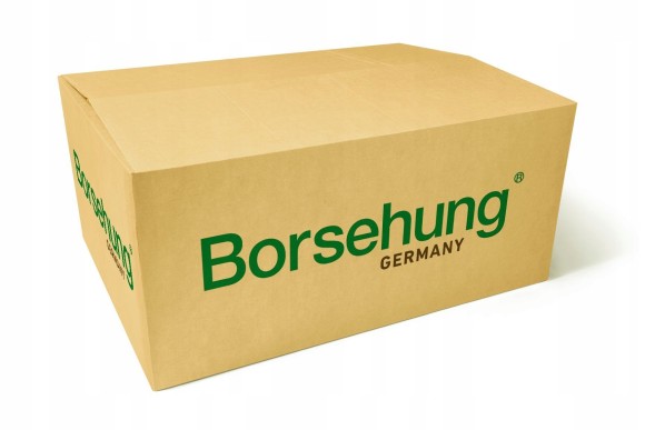 Borsehung B12222 Borsehung b12222 вакуумний насос bmw 1/3/5 1,6-2,0 06-13