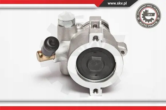 ESEN SKV 10SKV047 Насос гідропідсилювача 10skv047 esen skv