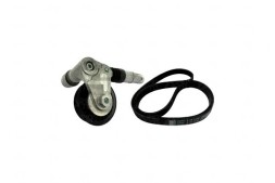 SKF SKFVKMA 31000(EXT) КОМПЛЕКТ РІЗНИХ РЕМЕНІВ SKF. VW 1.9TDI SKF