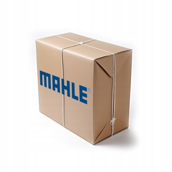 Mahle AB 59 000P Mahle ab 59 000p внутрішній вентилятор