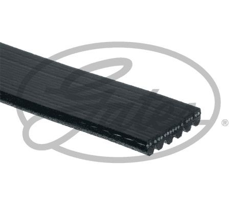 6PK1020EST GATES Пас привідний з довжиною кола понад 60см але не більш як 180см