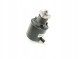 Rover OE QVB 10007 POWER PUMP ROVER 800 825 D/SD ОРИГІНАЛЬНИЙ ДИЛЕР