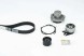 Continental CT1155WP1 Комплект грм + водяний насос ct1155wp1