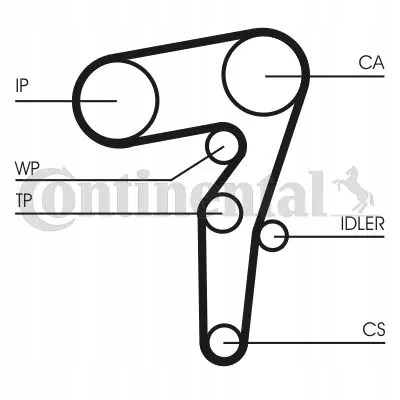 Continental CT1155WP1 Комплект грм + водяний насос ct1155wp1