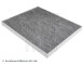 ADW192503 BLUE PRINT Повітряний фільтр салона