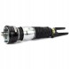 Arnott AS-334 65 2 повітряні амортизатори Arnott FRONT L+R для PORSCHE PANAMERA I