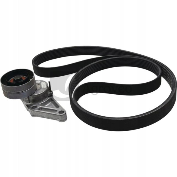 Schaeffler INA 529 4002 10 Комплект багатоклинових ременів