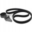 Schaeffler INA 529 4002 10 Комплект багатоклинових ременів