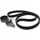 Schaeffler INA 529 4002 10 Комплект багатоклинових ременів
