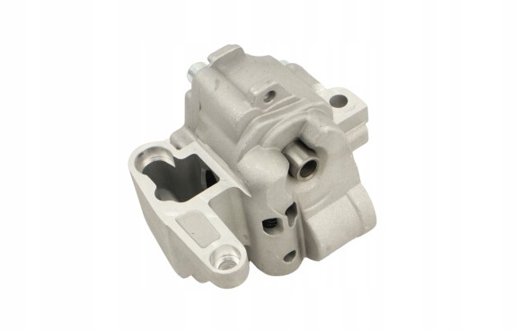 Spartan Parts SPP 000.000.0564 МАСЛЯНИЙ НАСОС AUDI A4 B7 A6 C6 VW PASSAT B5.5 B6 М6Х1