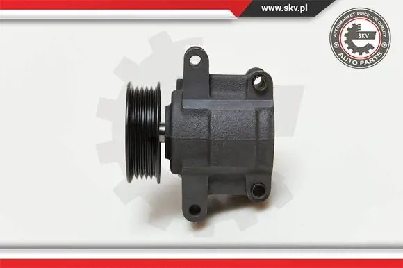ESEN SKV 10SKV035 Насос гідропідсилювача 10скв035 esen skv