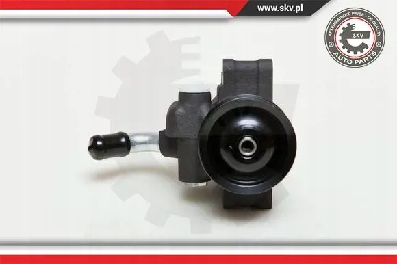 ESEN SKV 10SKV035 Насос гідропідсилювача 10скв035 esen skv