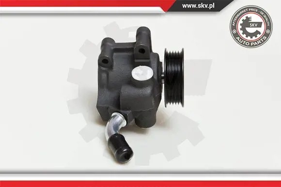 ESEN SKV 10SKV035 Насос гідропідсилювача 10скв035 esen skv