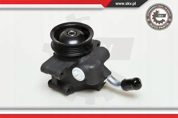 ESEN SKV 10SKV035 Насос гідропідсилювача 10скв035 esen skv