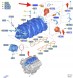 Ford OE FR3E-9J559-FA FR3Z9J559C ВАКУУМНИЙ КЛАПАН 5.0 V8 FORD MUSTANG 2016- 2017 5333339 _ FR3E-9J559-FA