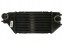 Thermotec DA4002TT Охолоджувач впускного повітря thermotec da4002tt