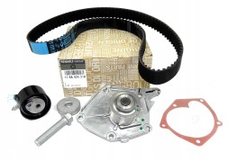 Renault OE 119A02421R Набір розрідження+водяний насос rn 1,5dci 04- kdp455.580
