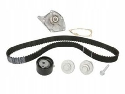 Renault OE 119A02421R Набір розрідження+водяний насос rn 1,5dci 04- kdp455.580