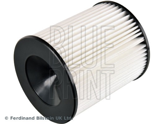 ADBP220037 BLUE PRINT Фільтр забору повітря