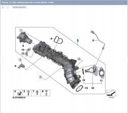 BMW OE 11618596906 Всмоктуючий колектор B47B B47D