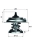 TX 29 85D MAHLE ORIGINAL Термостат