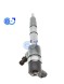High Quality New Chenji Diesel Fuel Injector 0445110805 Metal Universal Fitment 6 Months Warranty