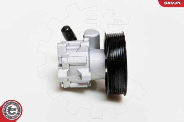 ESEN SKV 10SKV039 Power pump 10skv039 / 0044668301