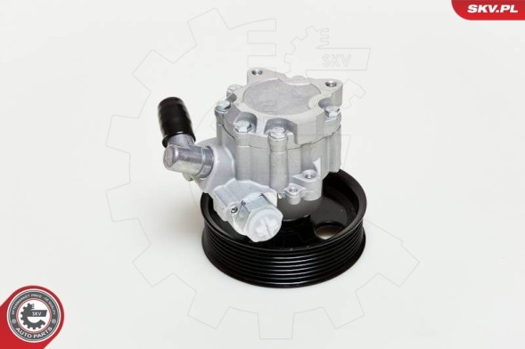 ESEN SKV 10SKV039 Power pump 10skv039 / 0044668301