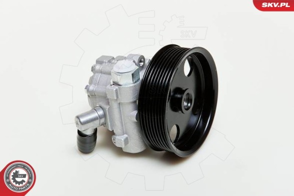 ESEN SKV 10SKV039 Power pump 10skv039 / 0044668301