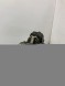 Bosch 0445010043 8642778 Elektronika-Chrzaszcz Насос високого тиску 0445010043 8642778