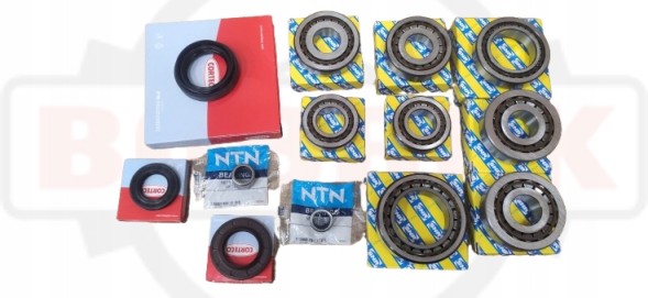 SNR EC42226 Комплект підшипників та сальників SNR для механічної коробки передач PF6