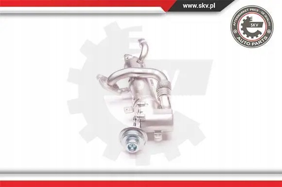 ESEN SKV 14SKV121 Охолоджувач вихлопних газів 14скв121 esen skv