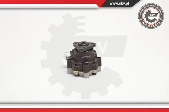 ESEN SKV 10SKV095 Насос гідропідсилювача 10скв095 esen skv