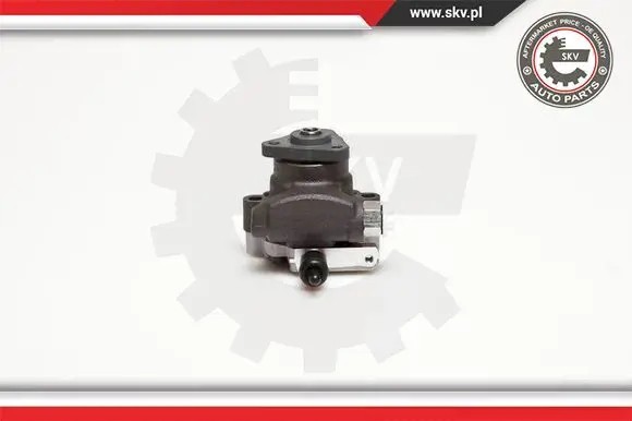 ESEN SKV 10SKV095 Насос гідропідсилювача 10скв095 esen skv