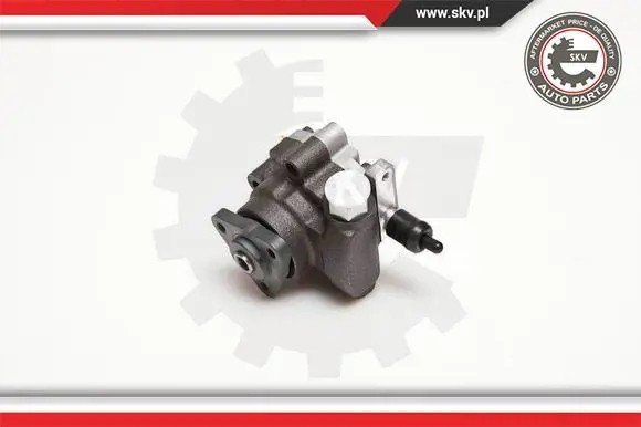 ESEN SKV 10SKV095 Насос гідропідсилювача 10скв095 esen skv