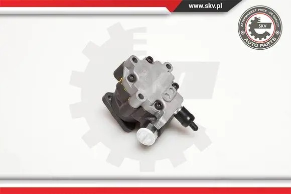 ESEN SKV 10SKV095 Насос гідропідсилювача 10скв095 esen skv