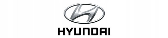 Hyundai OE 2013 Hyundai Ix20 Блокування/Замок 812301h000