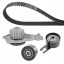 Dayco KTBWP3100 Комплект грм + водяний насос ktbwp3100 dayco