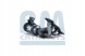 BM Catalysts BM91480H Каталізатор bm91480h bm catalysts citroen міні
