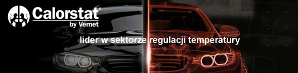 Vernet ТЕРМОСТАТ VERNET TH6552.88