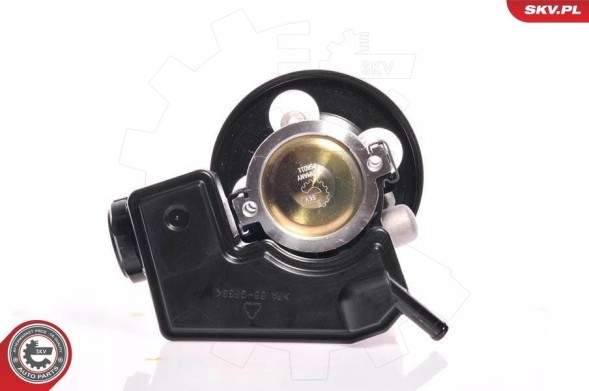 ESEN SKV 10SKV159 Насос-підсилювач - skv esen 10skv159