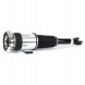 Arnott AS-31 3029 2x повітряні амортизатори Arnott L+P для BENTLEY, VW CONTINENTAL, PHAETON