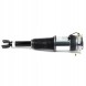 Arnott AS-31 3029 2x повітряні амортизатори Arnott L+P для BENTLEY, VW CONTINENTAL, PHAETON