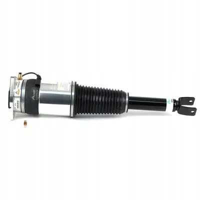 Arnott AS-31 3029 2x повітряні амортизатори Arnott L+P для BENTLEY, VW CONTINENTAL, PHAETON
