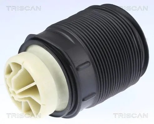 Triscan 8720 2320 12 2x TRISCAN сильфон повітряної подушки REAR L+R для MERCEDES-BENZ CLS