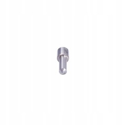 Bosch H 105 017 252 Інжекторна форсунка