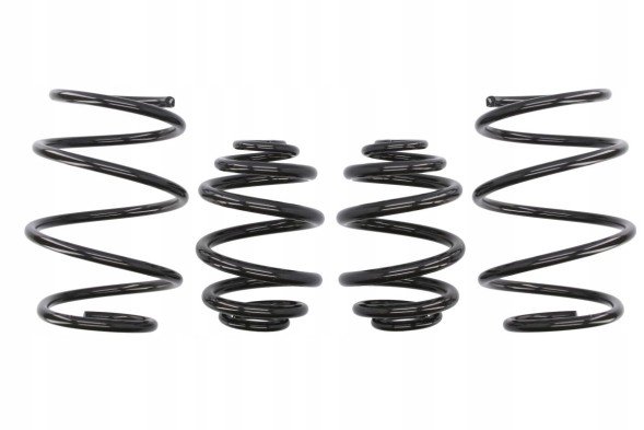 EIBACH Проставки для заниження 4 шт. Pro-Kit E2067-140 BMW 3 (E46)