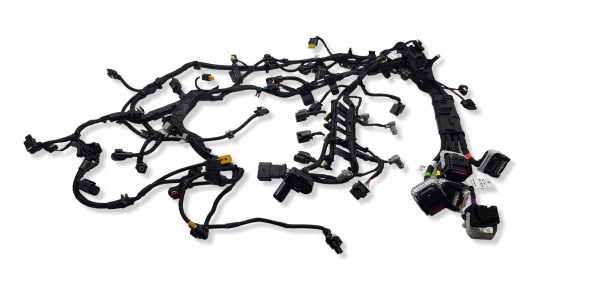 Mercedes-Benz OE Mercedes A6541502505, A6541501701 джгут проводів двигуна
