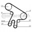 Continental CT1043WP1 Комплект грм + водяний насос ct1043wp1