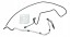 Peugeot OE Шнур Сечовина 9826294080 Citroen Berlingo Peugeot Partner 08- Оригінал